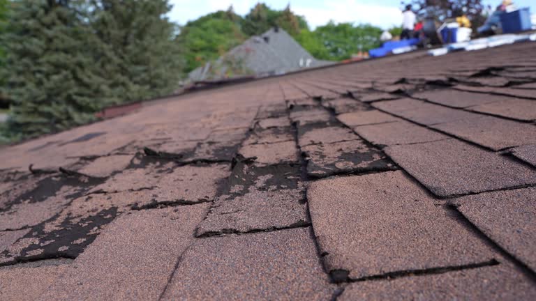 Best Asphalt Shingle Roofing  in Mineral Point, WI