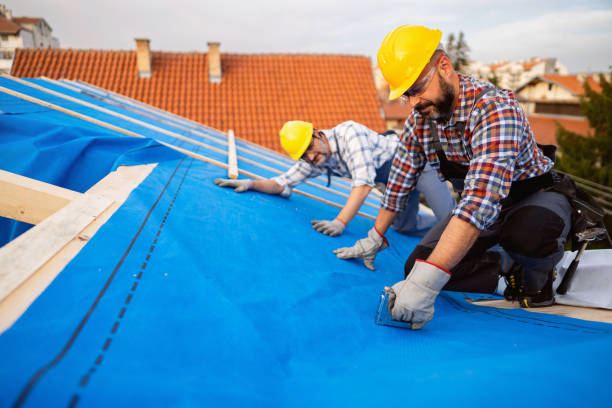Best Roof Moss and Algae Removal  in Mineral Point, WI
